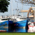 This Feb. 2 photo shows commercial fishing boats docked at Pier 38 in Honolulu. (Caleb Jones | The Associated Press)