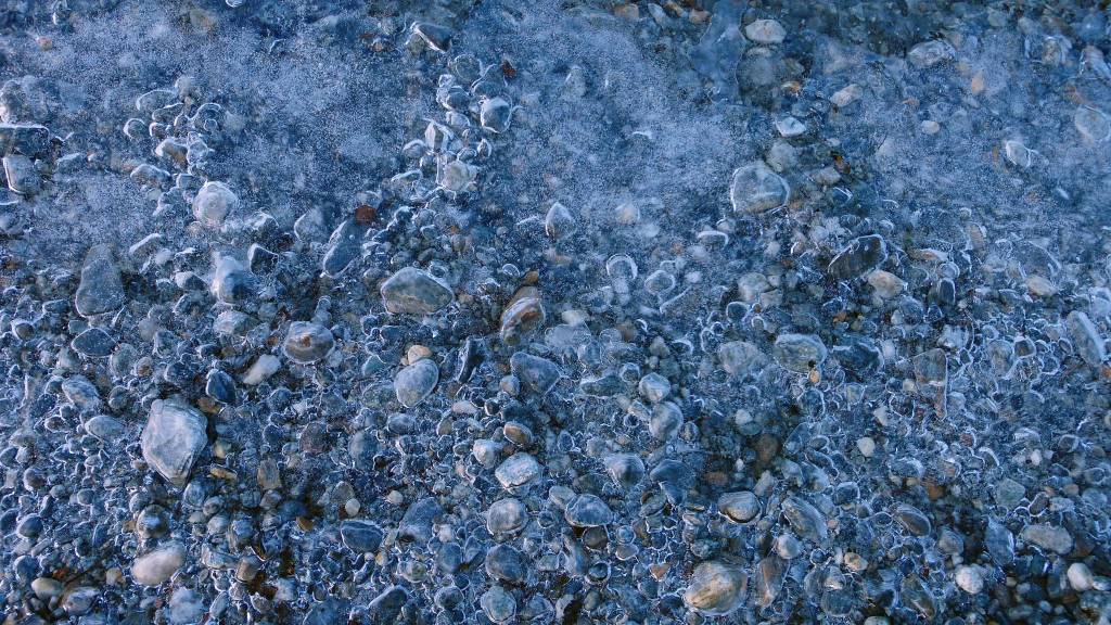 Ice bubbles over lake pebbles form an intricate design on Mendenhall Lake. Photo by Denise Carroll.