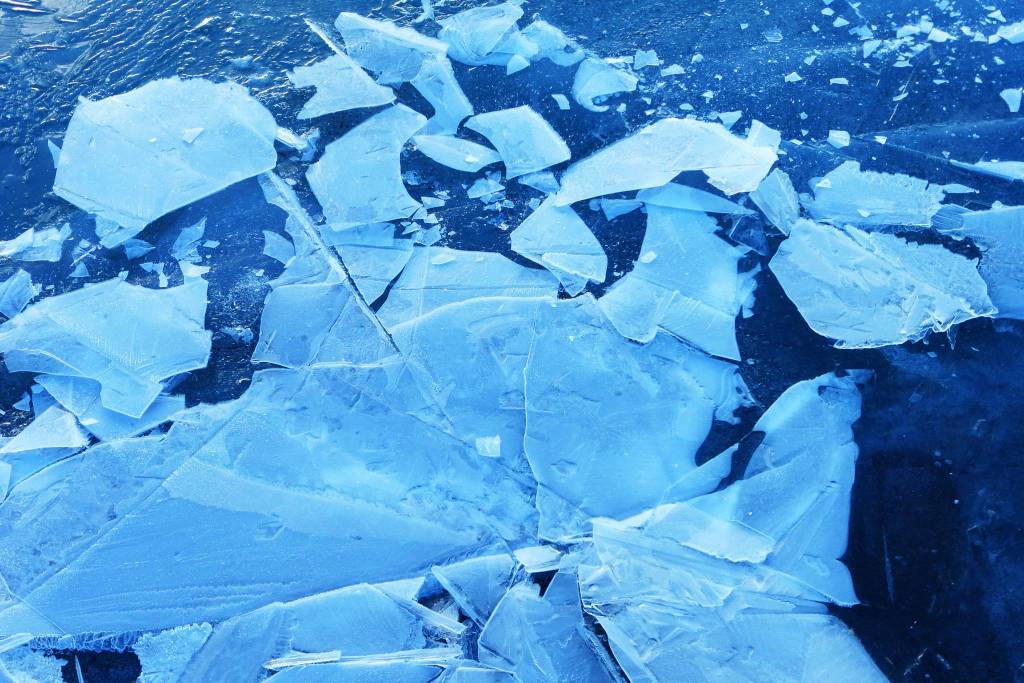 Thin fractured ice on the shore of Mendenhall Lake. Photo by Denise Carroll.