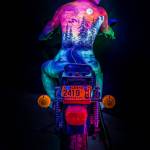 A woman bikes down a mysterious highway. Photo by Ron Gile.