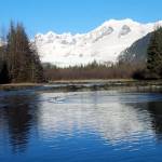 these poets breathing circles into an open sky fresh snow tumbles to the sea Photo by W.S. Merk