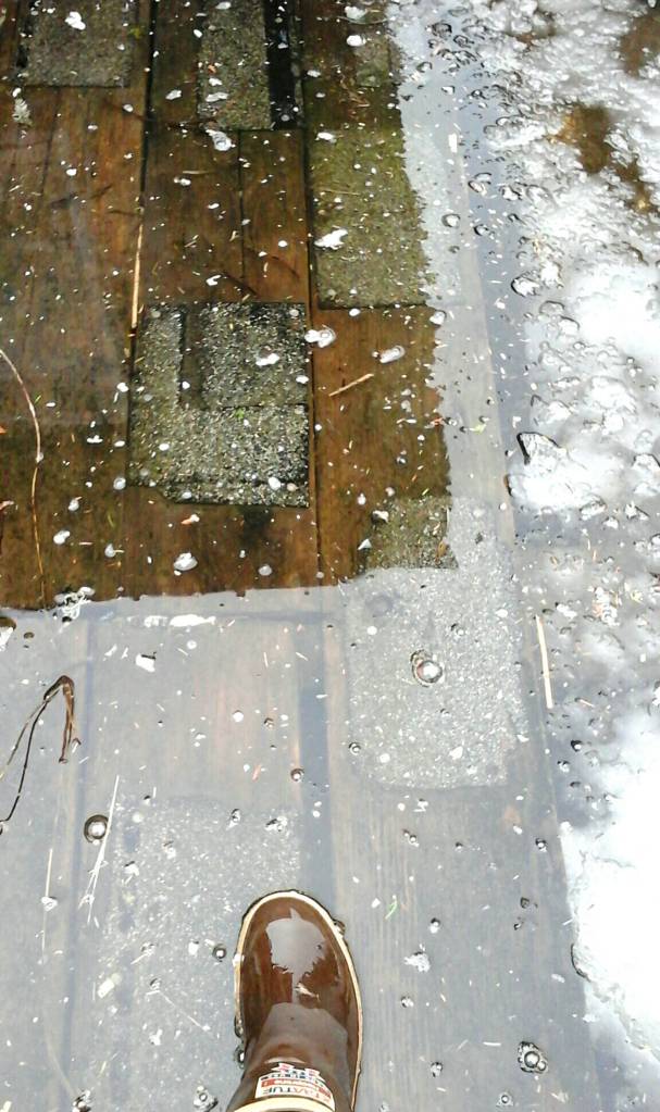 Tara Neilson&rsquo;s parents&rsquo; deck under about an inch of water. Not as bad as it could have been.