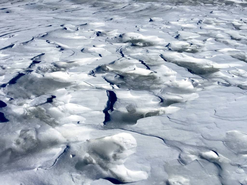 Windblown snow on clumps of ice. Mendenhall Lake on March 8. Photo by Denise Carroll.
