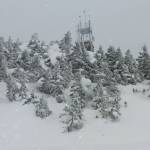 Eaglecrest on March 15. (Photo by Denise Carroll)