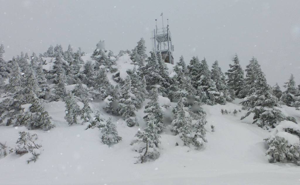 Eaglecrest on March 15. (Photo by Denise Carroll)