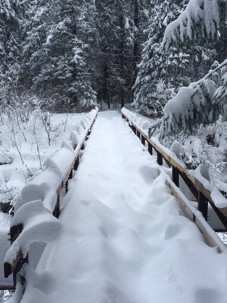 Windfall Trail bridge. (Photo by Deborah Rudis)