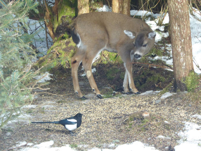 Who invited you? (Photo by John d&rsquo;Armand)