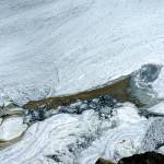 Thick creamy swirls of fish slime on the incoming tide in the downtown boat harbor. Photo by Denise Carroll.