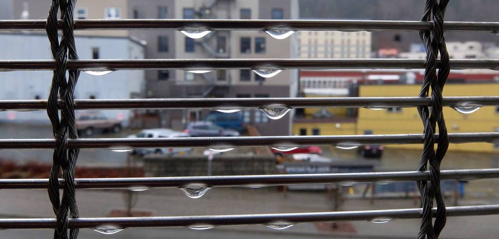 Droplets like wayward notes on a clef. Photo by Brooke Daly.