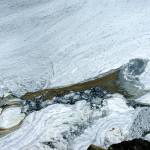 Thick creamy swirls of fish slime on the incoming tide in the downtown boat harbor. Photo by Denise Carroll.