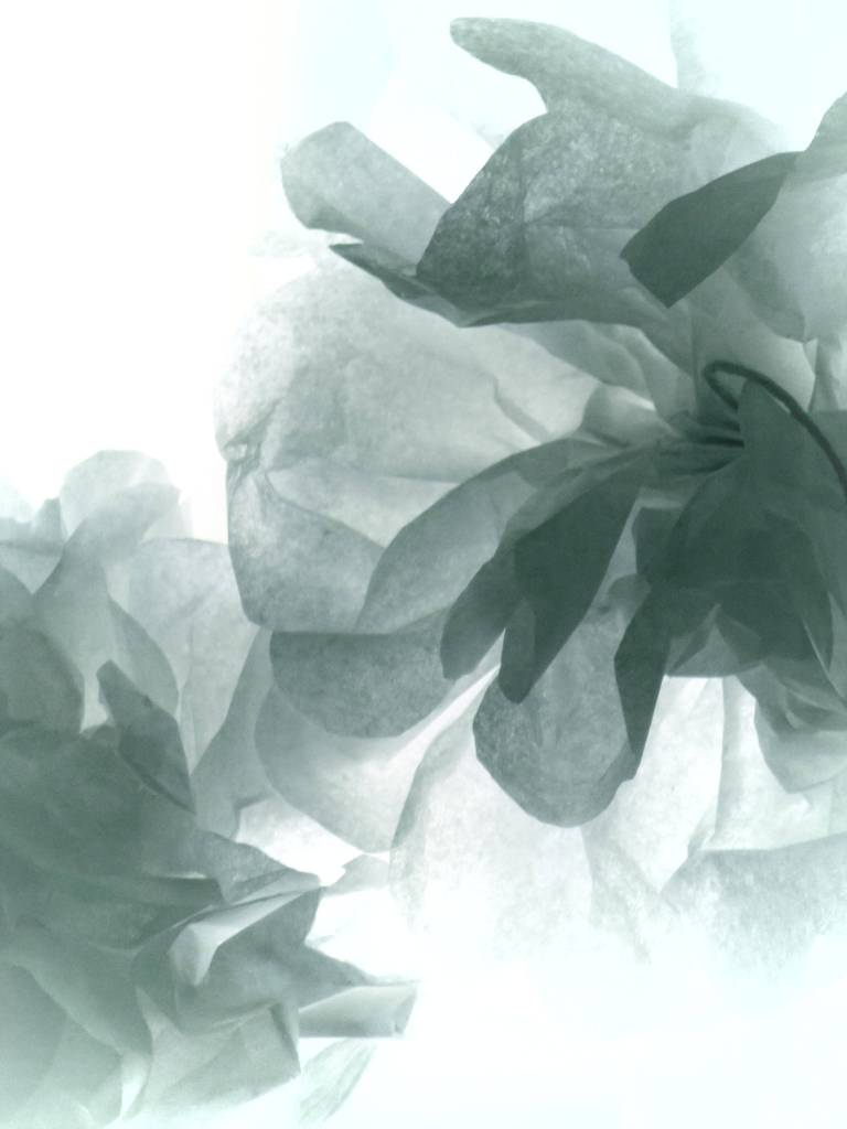 Hand-folded paper flowers with sunlight shining through them. Photo by Ray Tsang.