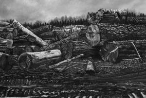 Drawing by Nina Elder, one of the traveling artists on the Tidelines Journey tour. Courtesy image.