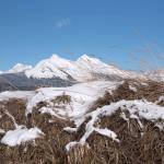 March Madness History on the Mendenhall Flats. (Photo by Gillfoto)