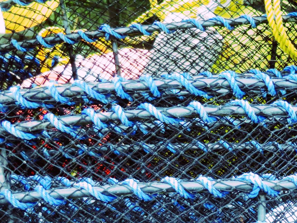 Collapsible crab pots in Petersburg. Photo by Ray Tsang.
