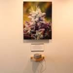 The big seller for Fireweed Factory is a strain called Gorilla Glue, which owner Paul Disdier calls &ldquo;the real deal.&rdquo; The marijuana retailer quietly opened Tuesday and business has already been good. (Alex McCarthy | Juneau Empire)