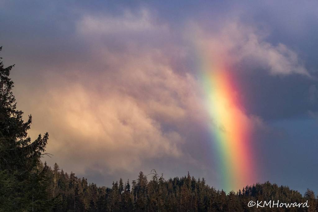 Brilliant rainbow over Lena Cove area on April 28. (Photo by Kerry Howard)