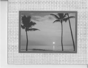 Writers’ Weir: Winter at Kona Reef, Hawaii