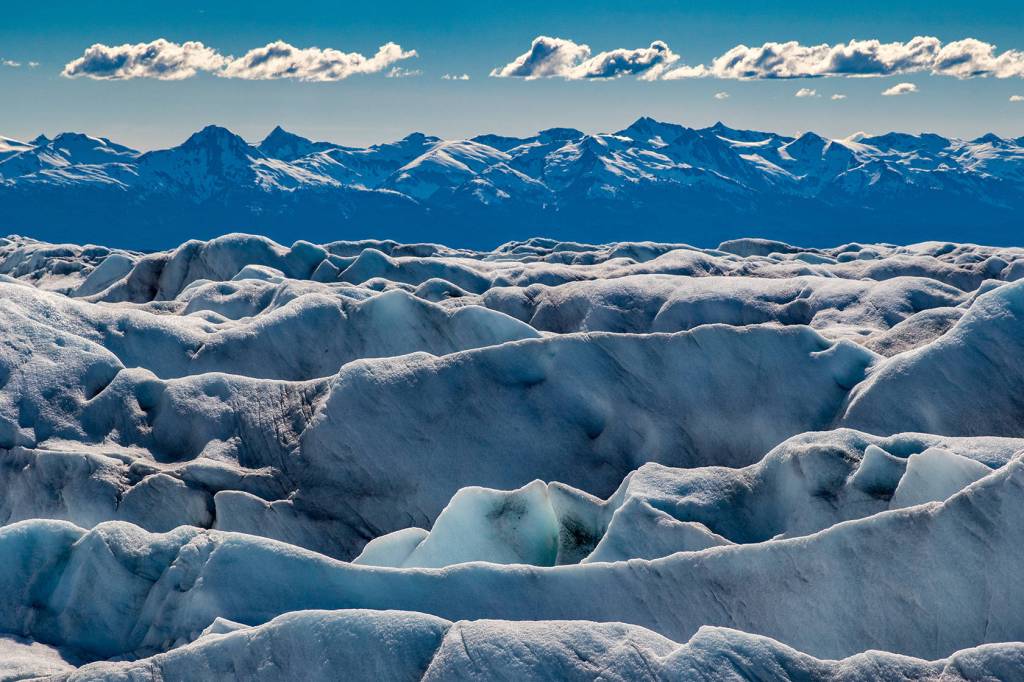 Layers of Blue: Crevasses on Herbert Glacier with the Chilkats in the distance. (Photo by Kerry Howard)