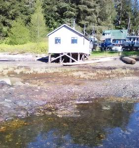 The old Meyers Chuck Post Office in its new location. Photo by Tara Neilson.