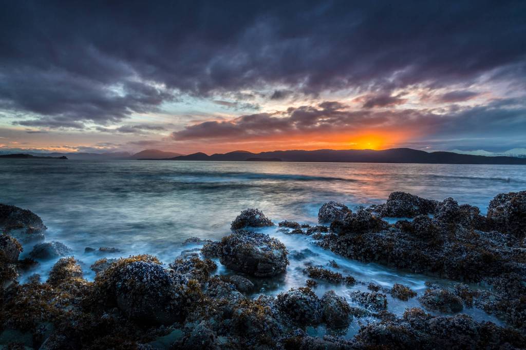 &ldquo;Evening Glow.&rdquo; Photo by Frank Lynn Pierce.