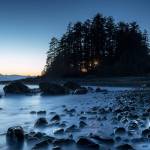 &ldquo;Shineth in the Dark.&rdquo; Photo by Frank Lynn Pierce.