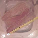 They’re here: It’s invasive species awareness week