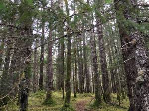 Writers’ Weir: Comforted