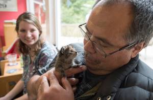 Don Eames gets a visit from a 4-week-old kitten as Bridge Adult Day Program supervisor Kelsey Wood watches on Thursday, June 29, 2017. Animals from the Gastineau Humane Society are brought to the program for an hour long visit every month. (Michael Penn | Juneau Empire)