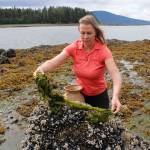 Survivalist Kellie Nightlinger lays out seaweed to dry during a walk in early June. Nightlinger has been voted the top female survival expert in the world, and has chosen Alaska as her home for the past five years. (Alex McCarthy | Juneau Empire)