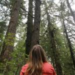 Survivalist Kellie Nightlinger looks up at trees while walking on Juneau&rsquo;s Rainforest Trail. Nightlinger has been voted the top female survival expert in the world, and has chosen Alaska as her home for the past five years. (Alex McCarthy | Juneau Empire)