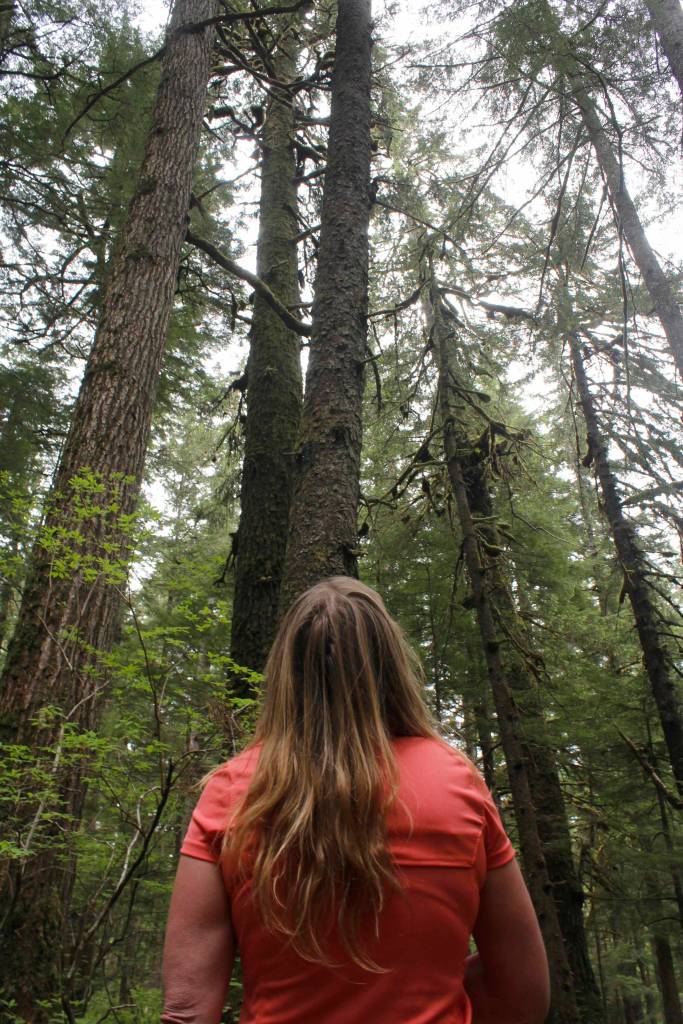 Survivalist Kellie Nightlinger looks up at trees while walking on Juneau&rsquo;s Rainforest Trail. Nightlinger has been voted the top female survival expert in the world, and has chosen Alaska as her home for the past five years. (Alex McCarthy | Juneau Empire)