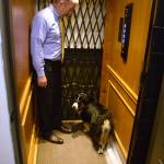Mark Choate rides the elevator of his new house with his dog, Obi Wan Kenobi, on Thursday, July 6, 2017. (James Brooks | Juneau Empire)