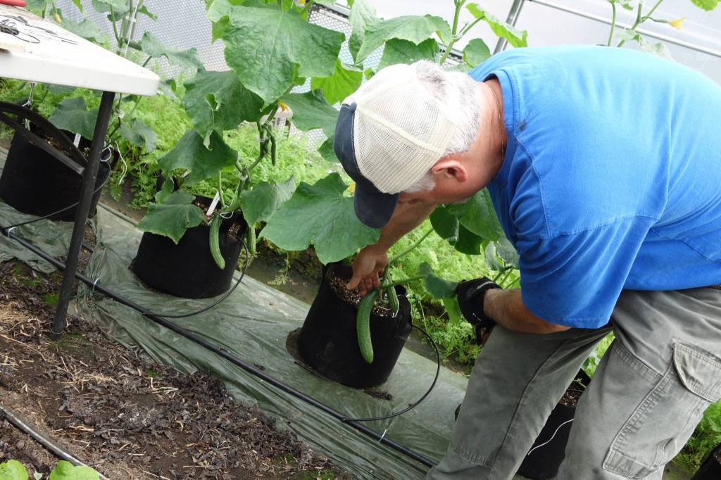 Online farmer’s market brings local produce to Southeast