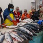 Peter Hochstoeger, left, plant facilitator at Alaska Glacier Seafoods, leads a tour for city leaders and business owners on Tuesday, July 25, 2017. (Michael Penn | Juneau Empire)