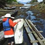Astraea carrying foam blocks to use for flotation in the ramp. Photo by Tara Neilson.