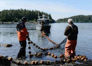 Jeff Feldpausch (right) and Brenden Didrikson (left) help Kyle Rosendale, STA Fisheries Biologist (center), deploy a seine net at Klag Bay. (Photo by Sarah O&rsquo;Leary)