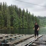 James Greeley tending his oysters. (Photo courtesy of Katie Bode)