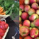 Juneau’s Food Festival keeps on growing