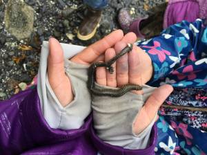 Children use observation and discovery at the beach. (Courtesy photo)