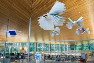 The Mendenhall Valley Public Library on Wednesday, Aug. 30, 2017. (Michael Penn | Juneau Empire)