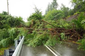 A landslide blocks Sitka&rsquo;s Halibut Point Road on Monday. No one was injured in the slide, the city&rsquo;s worst in two years, and one home suffered superficial damage.  ^ Roberta White | Sitka Fire Department