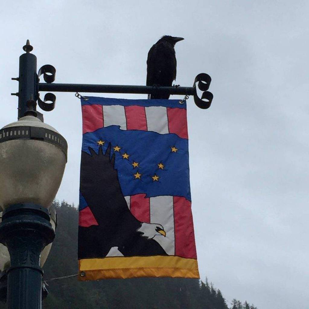 A raven rests on top of a light post displaying a bald eagle and the American flag in downtown Juneau. Photo by Junemarie Lee