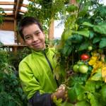 Ted stands by tomatoes inside Moby. Photo by Bethany Goodrich. (Photo by Bethany Goodrich)