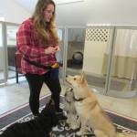 Treat time with Shawna Else. (Photo by Mackenzie Fisher)