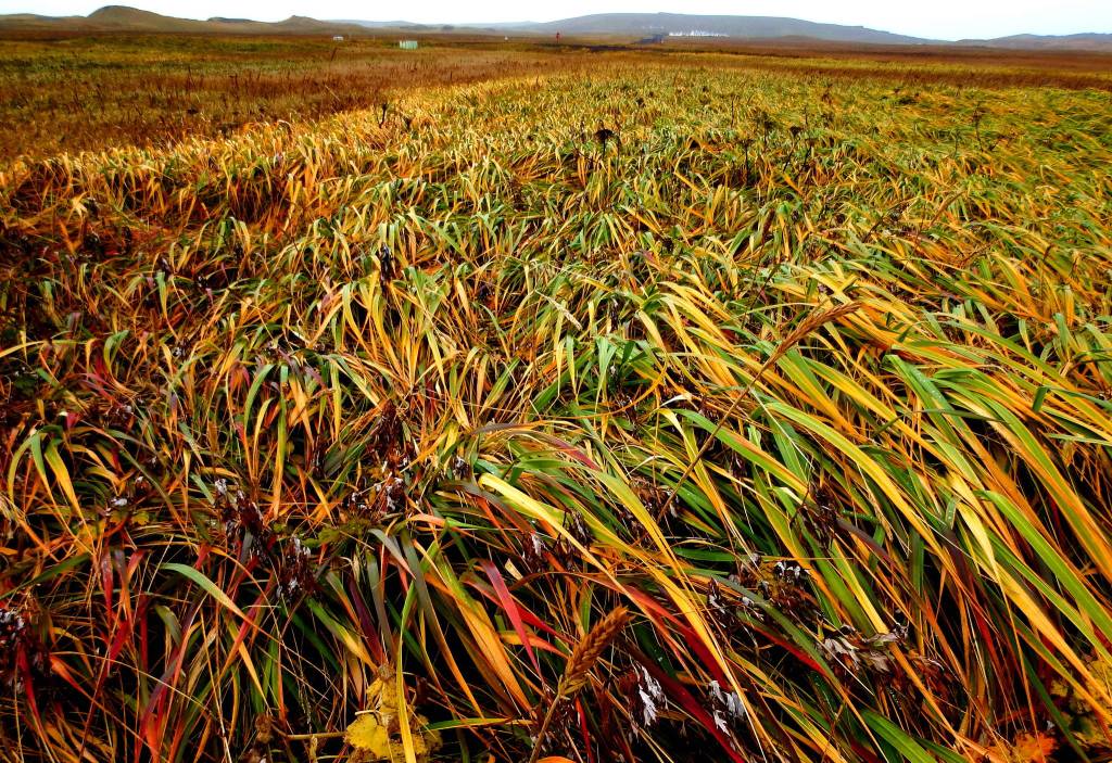 Art in Unusual Places