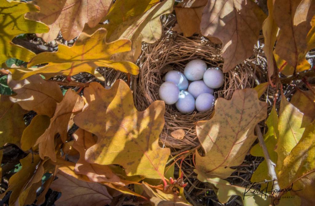 Art in Unusual Places