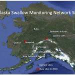 Juneau Audubon Society hopes their tree swallow monitoring project can join the Alaska Swallow Monitoring Network next summer. (Map courtesy of Brenda Wright)