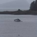 A boat is in the process of sinking in Indian Cove in Juneau on Oct. 30, 2017. The boat appears to have leaked oil into the cove, according to the Coast Guard. (Alex McCarthy | Juneau Empire)