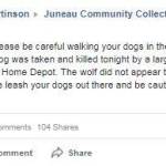 Wolf kills dog in Lemon Creek