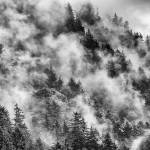 Juneau man’s passion for African and Alaskan wildlife photos takes him to wild places